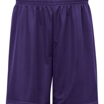 BDG ADT 9 MINI MESH SHORT Thumbnail