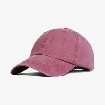 FARENHEIT PIG DYE CAP Thumbnail